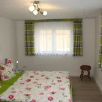 Ferienwohnung-schrammsteinblick